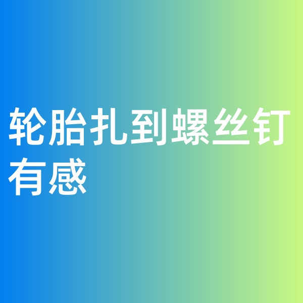 鈀碳回收，輪胎扎到螺絲釘有感