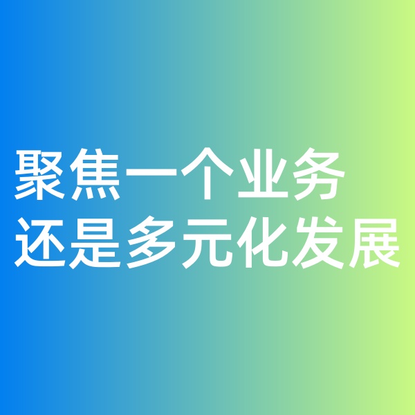 鈀碳回收, 聚焦一個(gè)業(yè)務(wù)，還是多元化發(fā)展